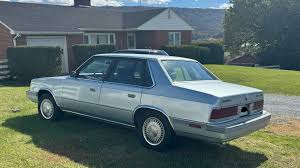 Image result for Sable Brown 1984 Plymouth