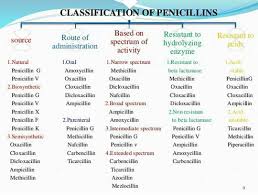 Image result for Extended Spectrum Penicillin