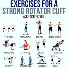 Image result for Shoulder Strength Exercises