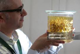 744 Kew South Stock Photos, High-Res Pictures, and Images