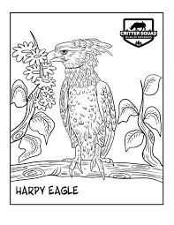 Harpy eagle portrait coloring page. Harpy Eagle Coloring Page C S W D