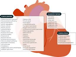 How Valuable Is Physical Examination Of The Cardiovascular System The Bmj