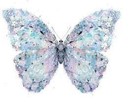 Englische Spruche Butterfly Wattpad