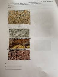 Check spelling or type a new query. 3 Cementation Of Quartz Sand To Form Sandstone Chegg Com