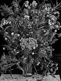 Carnforth bookshop is an independent, family run bookshop at the heart of the historic town of carnforth, lancashire. Flowers For Lisa Photographs By Abelardo Morell Lensculture