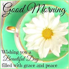 Check spelling or type a new query. Good Morning Thursday Meme