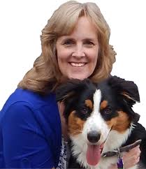 Hayesville, NC Real Estate Agents