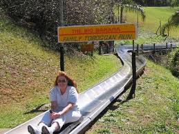 Halfway between sydney and brisbane, coffs harbour is a welcoming beachside city on the nsw north coast. Toboggan Ride At Big Banana Bild Von Coffs Harbour New South Wales Tripadvisor