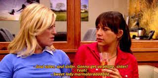 pin on parks and rec xd