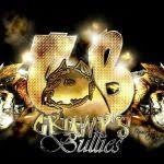 We have some very nice breeding's coming. Xl Xxl Pitbull Puppies For Sale Xl Pitbull Puppies