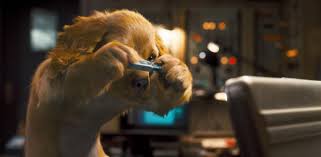 When a professor develops a vaccine that eliminates human allergies to dogs, he unwittingly upsets the fragile balance of power between cats and dogs. Watch Cats Dogs 2001 Full Hd Movie Peatix