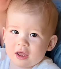 Prince Archie of Sussex