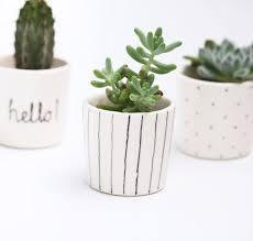 Black And White Striped Flower Pots Este Articulo No Esta Disponible Small Potted Plants Small Plants Succulent Planter