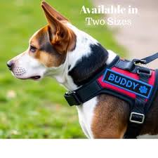 Custom Personalized Dog Harness Patches for Service and Emotional Support Dogs