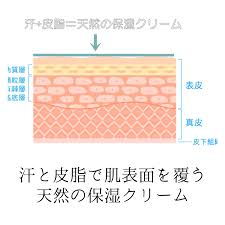 医師監修 肌のバリア機能とは 間違ったスキンケアが肌トラブルを招いているかも バリア 肌トラブル 肌