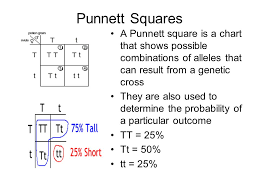 genetics the science of heredity ppt video online download