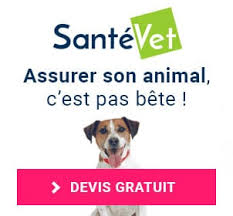 Prenez contact avec l'organisateur avant d'entreprendre tout déplacement. Salons Du Chiot 2021 France Expo Chien Conseil Veto Illustre Catedog