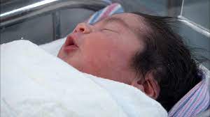New studies reveal the secret life of the baby in your belly