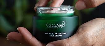 Image result for Green Angel 2018 Fleet