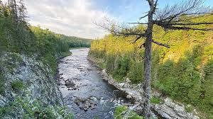 Arthur Miller Nature Reserve / #CanadaDo / Best Things To Do in Rothesay