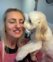 The Groomers Spotlight