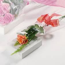 We did not find results for: The Single Rose Whitehorse Yt Florist White Horse Flowers Etc