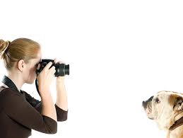 Like, we really love them (and their humans!). How Photography Can Save Pets Lives Petfinder
