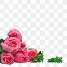 Rose Flower Clipart Purple Flower Background Rose Clipart