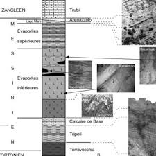 This work has been selected. Pdf Quarante Ans De Debats Autour Des Evaporites Messiniennes De Mediterranee Et De La Crise Qui Leur Est Associee Un Defi Scientifique Passionnant Mais Singulier Et Deroutant