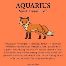 This Is So True In 2020 Zodiac Signs Aquarius Aquarius Horoscope Aquarius Sign