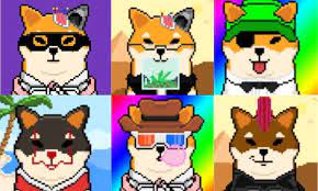 Shiba Inu Shib Nfts Surge As Floor Price Now Sits Above 1 Eth Nft News Today