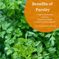 For hair, tea tree oil is most useful for flakiness. Parsley Herb