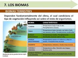 Biomes In The United States Unidad 107 109 4 638 Jpg 638 479