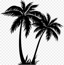 For your convenience, there is a search service on the main page of the site that would help you find images similar to palm trees clipart black and white with nescessary type and size. Alm Tree Clipart Palm Tree Line Art Png Image With Transparent Background Toppng