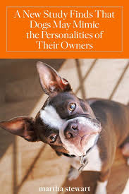 A New Study Finds That Dogs May Mimic The Personalities Of Their Owners Dogs Dog Personality Personality