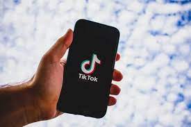 Download Video TikTok Tanpa Watermark Tercepat 2022, Bisa Pakai SnapTik -  Ayo Bandung - Halaman 2
