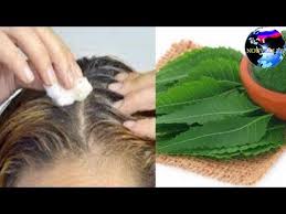 Youtube Avec Images Cheveux Blancs Cheveux Remedes Naturels