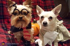 Dobby costumes are a popular choice for harry potter fans who loved this kind. Harry Potter And Dobby Dogs Costume
