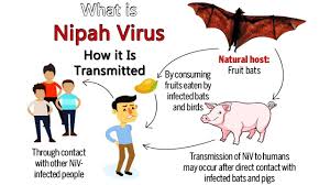 Ok i start google chrome on my ubuntu operating system and it says: Nipah Virus Symptoms Causes Treatment Prevention Cure And Medicines
