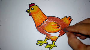 Ada banyak objek mewarnai gambar kartun yang bisa anda berikan pada buah hati anda. Cara Menggambar Ayam Betina Youtube