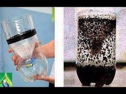 Pin On Home Remedies