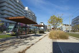 How To Make An Interesting Art Piece Using Tree Branches Ehow Ville De Montpellier Montpellier Montpellier Herault