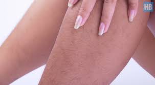 How long does each stage last? Cracking The Old Mystery Why Does My Leg Hair Grow So Fast