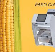 Semi Automatic Corn Color Sorter Machine, Single Phase