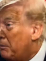 Trista Jones Manigault