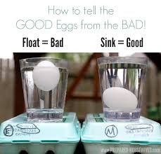 preserving eggs with mineral oil one