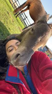 𝐌𝐈𝐍𝐎𝐑𝐈 🇮🇹 La Costiera Amalfitana