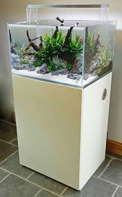 Pin By Tempest Peacock On Aquascaping Aquarium Landscape Nature Aquarium Aquascape