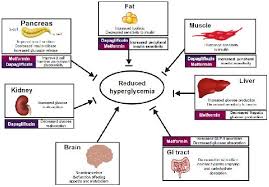 Diabetes Medication Chart 2017 Pdf