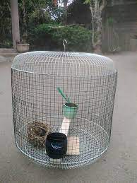 Cara melubangi sangkaf burungmembuat dudukn bor, agar mempermudah pengeboran dalam proses membuat sangkar burung.tentunya ini hanya gambaran saja, mungkin. Sangkar Burung Steemit